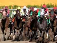 Gulfstream Park and Casino